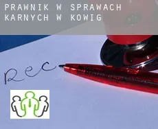 Prawnik w sprawach karnych w  Koßwig