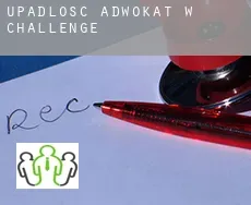 Upadłość adwokat w  Challenge