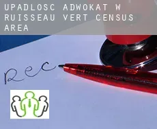 Upadłość adwokat w  Ruisseau-Vert (census area)