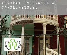 Adwokat imigracji w  Carolinensiel