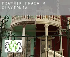 Prawnik praca w  Claytonia