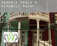 Prawnik praca w  Fivemile Point