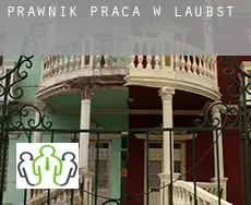 Prawnik praca w  Laubst