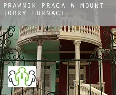 Prawnik praca w  Mount Torry Furnace
