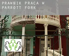 Prawnik praca w  Parrott Fork