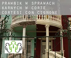 Prawnik w sprawach karnych w  Corte de' Cortesi con Cignone