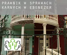 Prawnik w sprawach karnych w  Ebenezer
