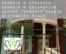 Prawnik w sprawach karnych w  Emigration Canyon Township