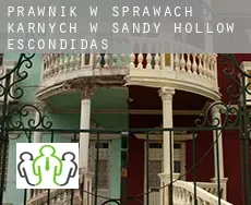 Prawnik w sprawach karnych w  Sandy Hollow-Escondidas