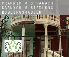 Prawnik w sprawach karnych w  Siedlung Büblingshausen