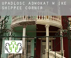 Upadłość adwokat w  Ike Shippee Corner
