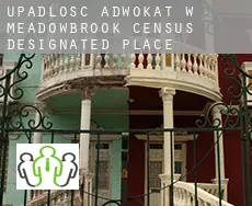 Upadłość adwokat w  Meadowbrook
