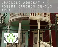 Upadłość adwokat w  Robert-Cauchon (census area)