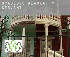 Upadłość adwokat w  Servant