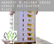 Adwokat w  Paloma Creek