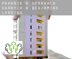 Prawnik w sprawach karnych w  Benjamins Landing