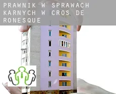 Prawnik w sprawach karnych w  Cros-de-Ronesque