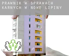 Prawnik w sprawach karnych w  Nowe Lipiny