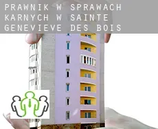 Prawnik w sprawach karnych w Sainte-Geneviève-des-Bois