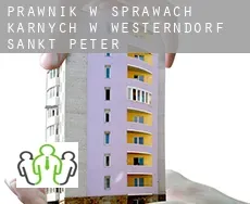 Prawnik w sprawach karnych w  Westerndorf-Sankt Peter