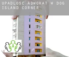 Upadłość adwokat w  Dog Island Corner