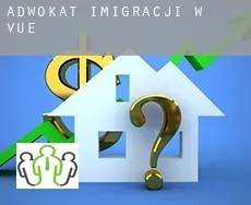 Adwokat imigracji w  Vue