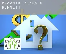 Prawnik praca w  Bennett