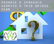 Prawnik w sprawach karnych w  Twin Bridge Farm