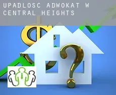 Upadłość adwokat w Central Heights