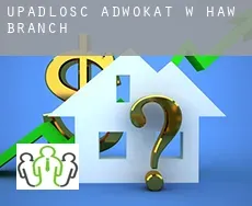 Upadłość adwokat w  Haw Branch