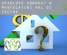 Upadłość adwokat w Montecatini