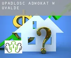 Upadłość adwokat w  Uvalde