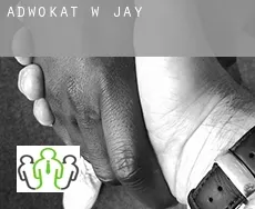 Adwokat w  Jay