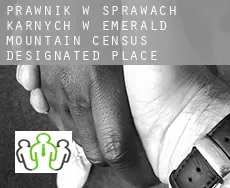 Prawnik w sprawach karnych w  Emerald Mountain