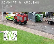 Adwokat w  Audubon Shrine