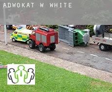 Adwokat w  White