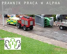 Prawnik praca w  Alpha