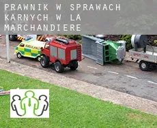 Prawnik w sprawach karnych w  La Marchandière