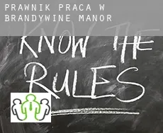Prawnik praca w  Brandywine Manor