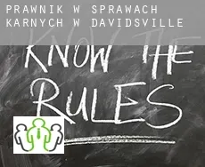 Prawnik w sprawach karnych w  Davidsville