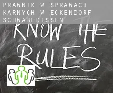 Prawnik w sprawach karnych w  Eckendorf-Schwabedissen
