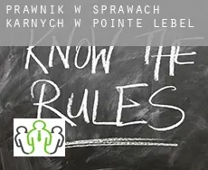 Prawnik w sprawach karnych w  Pointe-Lebel