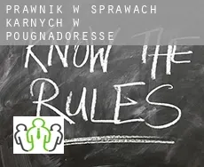 Prawnik w sprawach karnych w Pougnadoresse