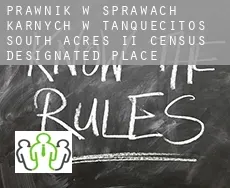 Prawnik w sprawach karnych w  Tanquecitos South Acres II