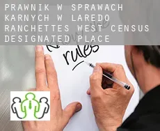 Prawnik w sprawach karnych w  Laredo Ranchettes - West