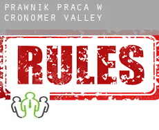 Prawnik praca w Cronomer Valley