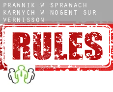 Prawnik w sprawach karnych w  Nogent-sur-Vernisson