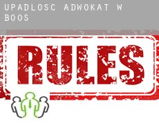 Upadłość adwokat w  Boos