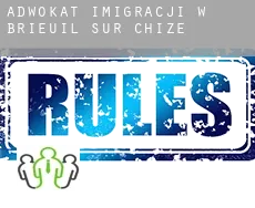 Adwokat imigracji w  Brieuil-sur-Chizé