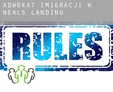 Adwokat imigracji w  Neals Landing